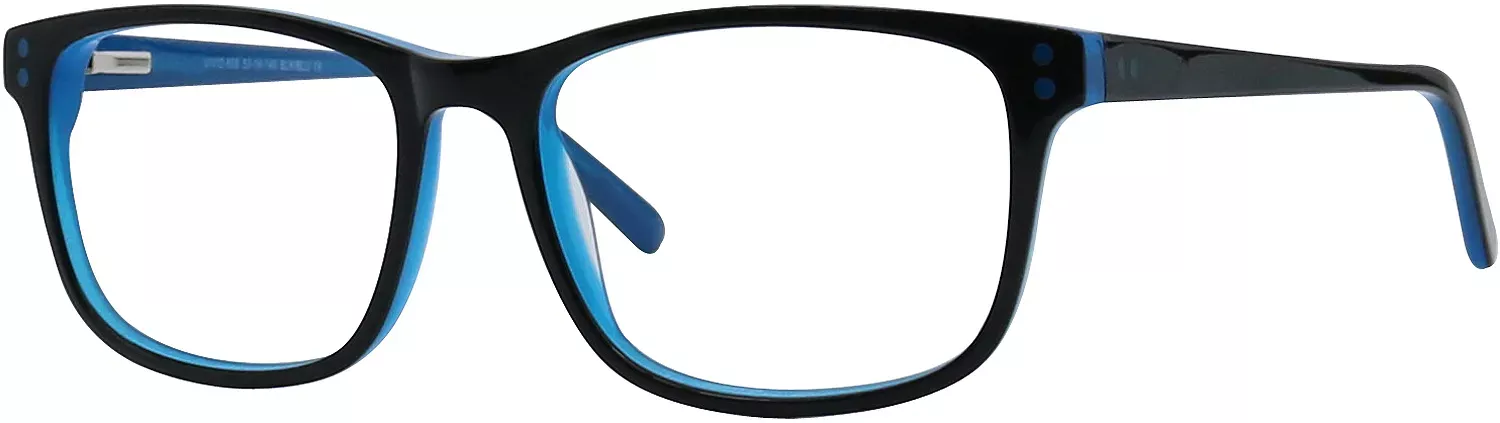 vivid-858-1 Vivid 858-1